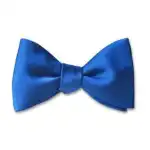 Silk Bow Tie